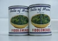 Canned fiddleheads